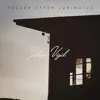 Julian Vigil - Polska efter Juringius - Single